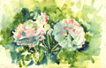 Giardino delle Rose