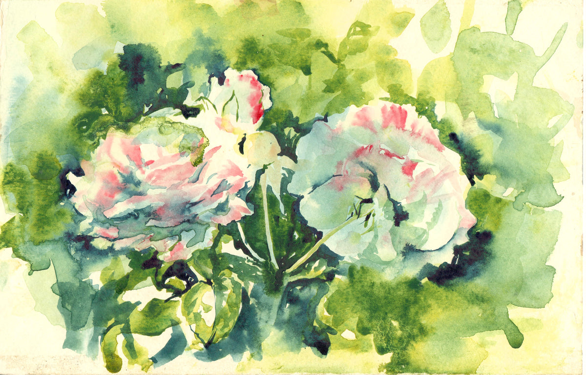 Giardino delle Rose