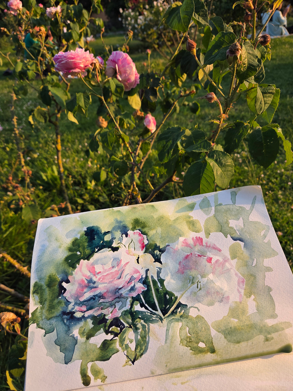 Giardino delle Rose